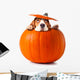 beagle in pumpkin 