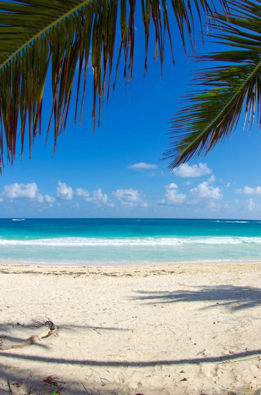 tropical sea 