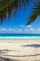 tropical sea 