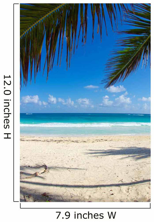 tropical sea 