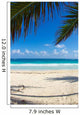 tropical sea 
