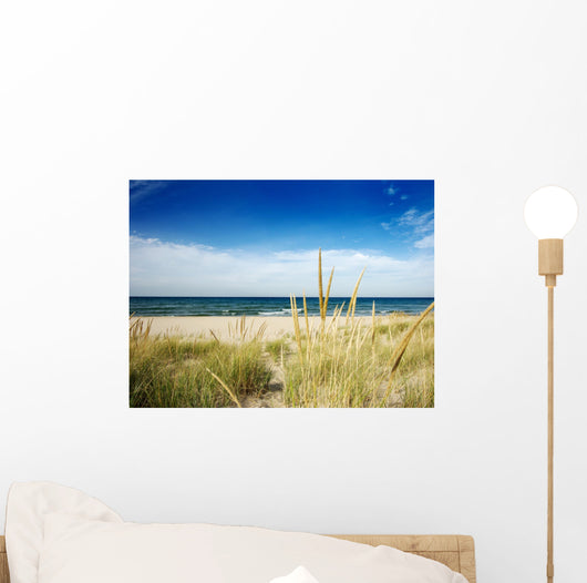 Path to Beach With Dune Grass Wall Mural