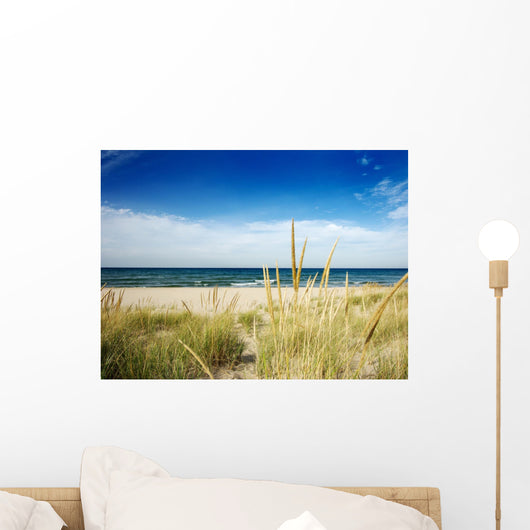 Path to Beach With Dune Grass Wall Mural