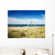 Path to Beach With Dune Grass Wall Mural