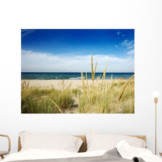 Path to Beach With Dune Grass Wall Mural