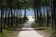 To Beach Wall Decal