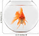 Goldfish Floating in Glass Sphere and on a White Background 