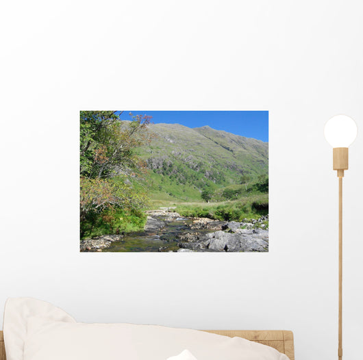 Highland stream Wall Mural