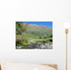Highland stream Wall Mural
