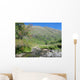 Highland stream Wall Mural