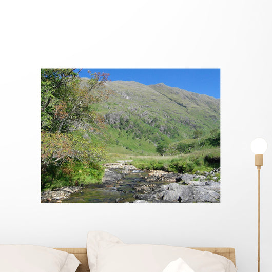 Highland stream Wall Mural