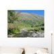 Highland stream Wall Mural