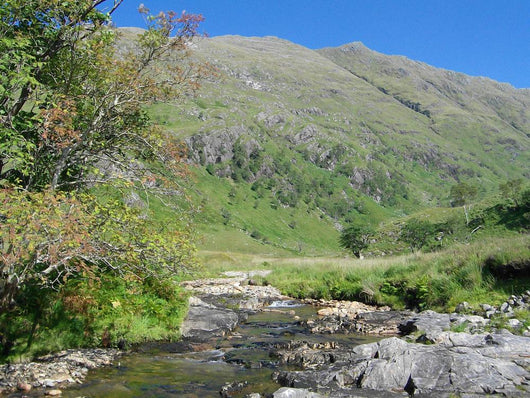 Highland stream Wall Mural