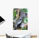 Koala Bear Wall Mural