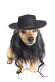 little jewish dog Wall Decal