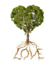 Tree with foliage with the shape of a heart and roots as text Lo 