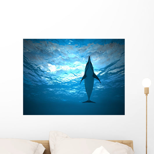 Dolphin under Water Wall Decal