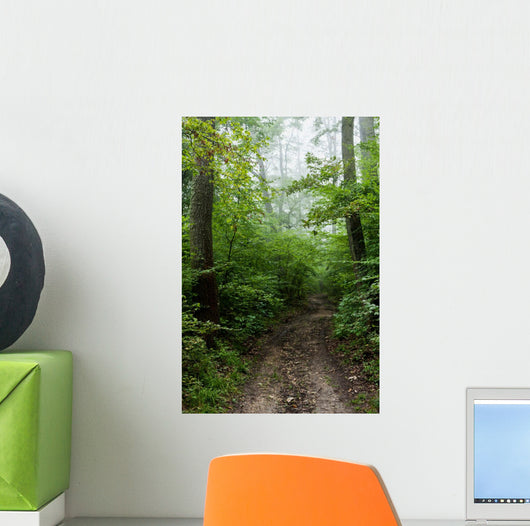Path 