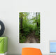 Path 