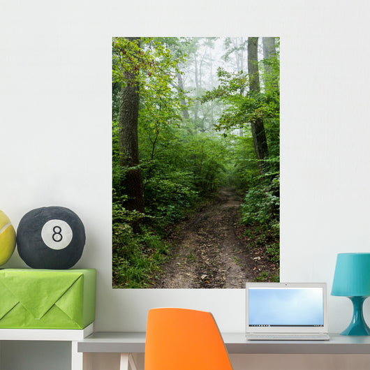 Path 