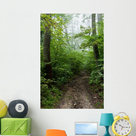 Path 