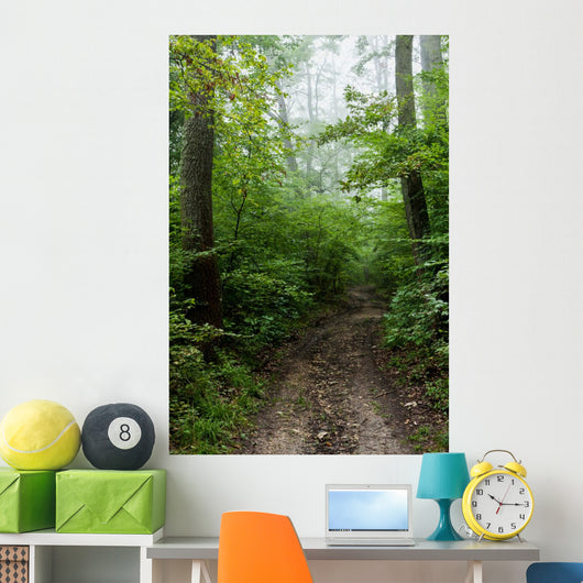Path 