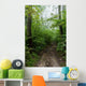 Path 