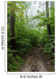 Path 