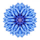 Blue Cornflower Mandala Flower Wall Decal