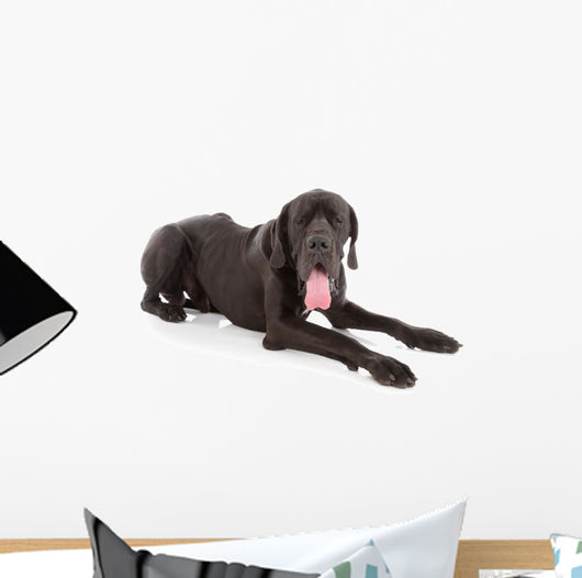 great dane Wall Decal