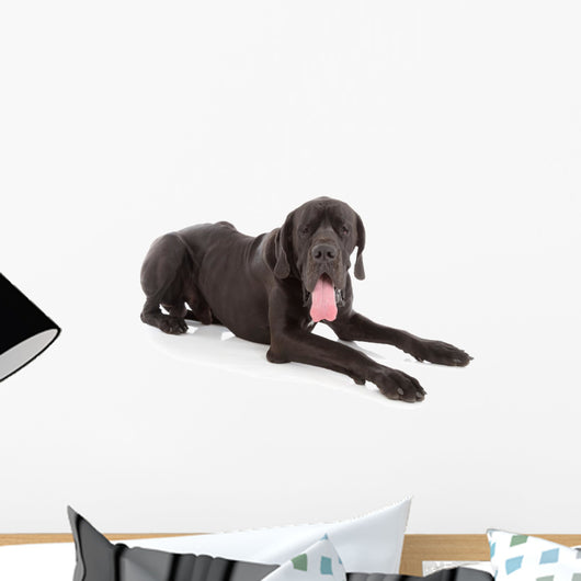 great dane Wall Decal