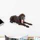 great dane Wall Decal