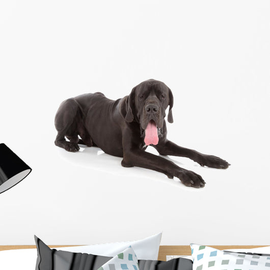 great dane Wall Decal