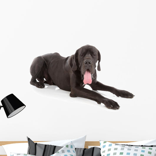 great dane Wall Decal