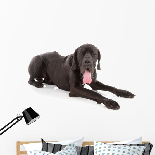 great dane Wall Decal