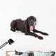 great dane Wall Decal