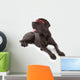great dane Wall Decal