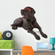 great dane Wall Decal