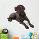great dane Wall Decal