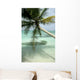 Palm Wall Decal