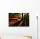 Forest in Autumn Wall Mural