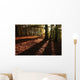 Forest in Autumn Wall Mural