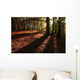 Forest in Autumn Wall Mural
