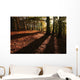 Forest in Autumn Wall Mural