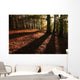 Forest in Autumn Wall Mural