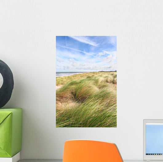 Dunes and the beach in spring Wall Mural