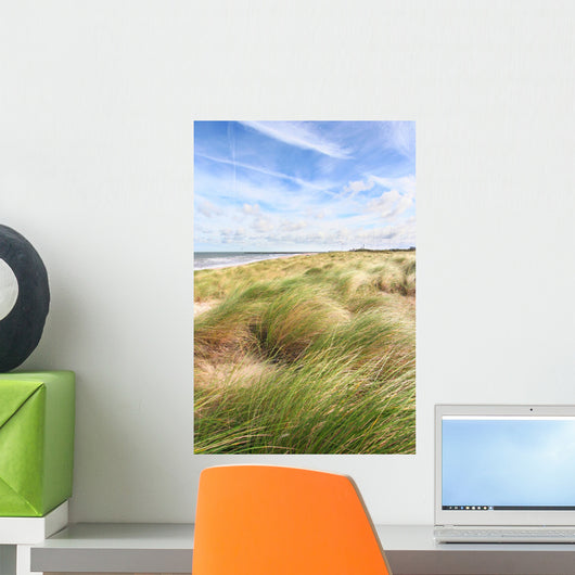 Dunes and the beach in spring Wall Mural