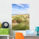 Dunes and the beach in spring Wall Mural