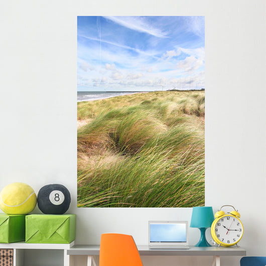 Dunes and the beach in spring Wall Mural