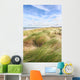 Dunes and the beach in spring Wall Mural